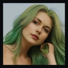 photos